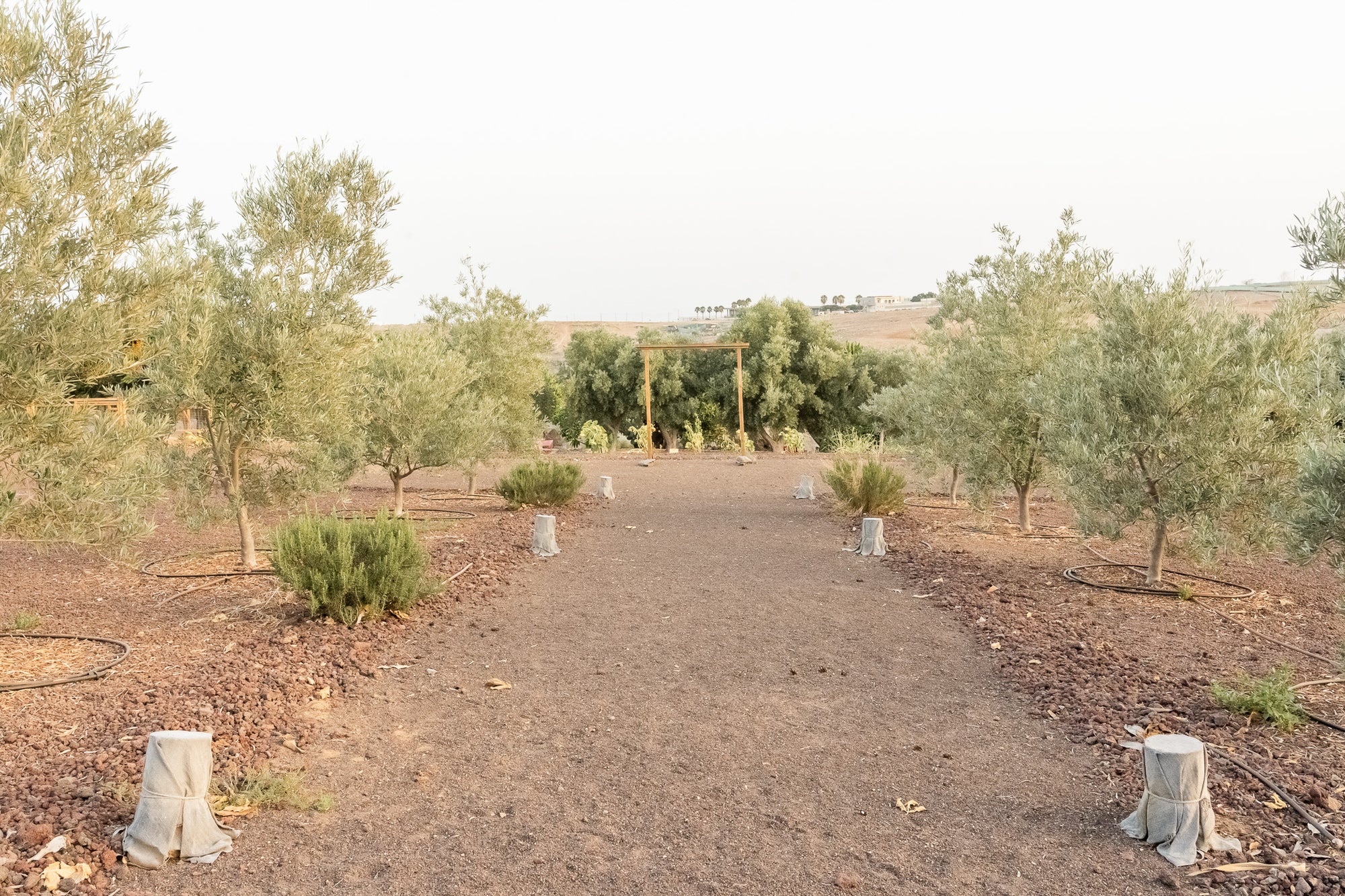 VISITA GUIADA PRIVADA CON PEPE - Pepeoil