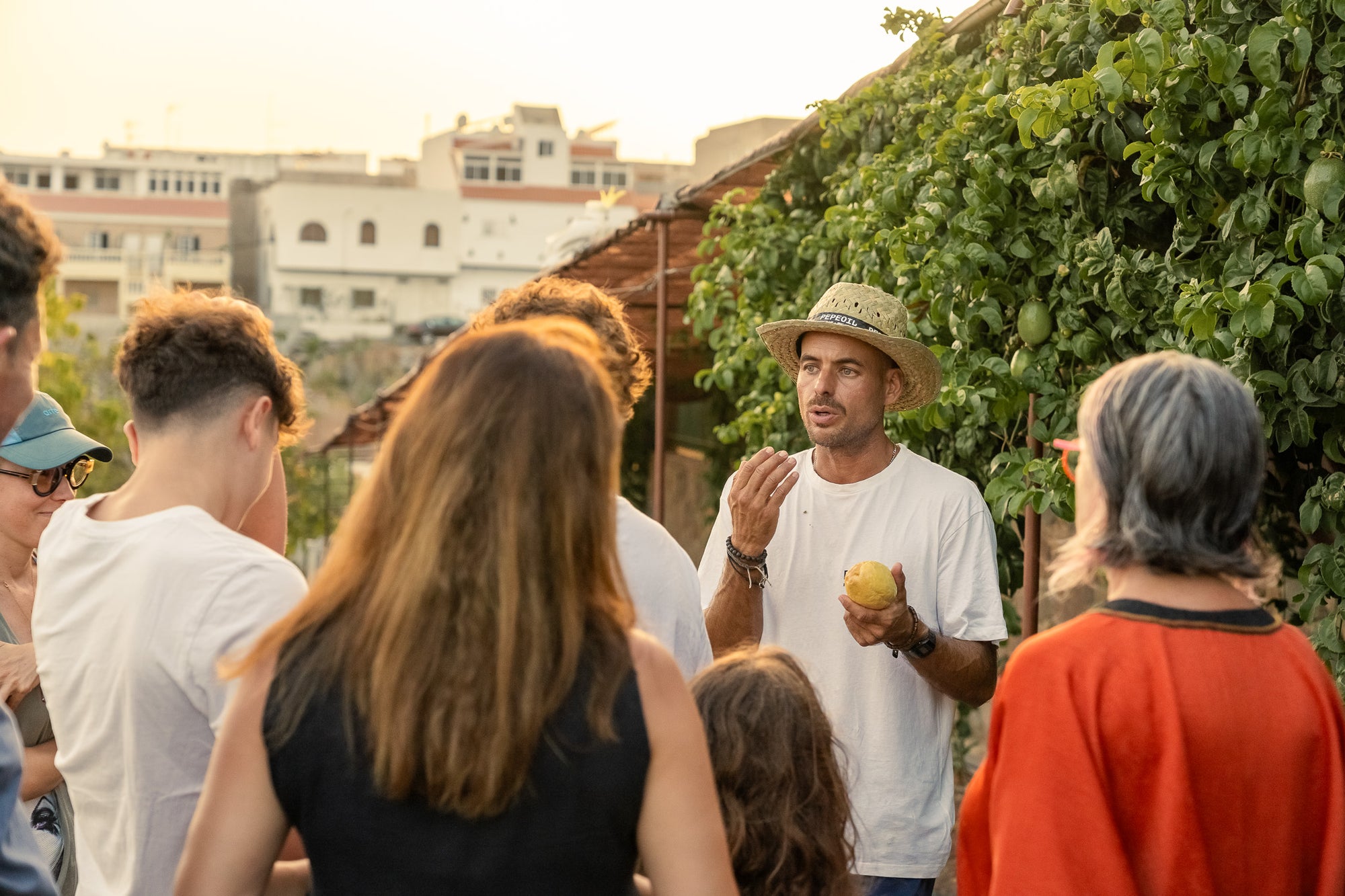 VISITA GUIADA + CONSUMICIÓN + DEGUSTACION DE PEPEOIL - 18,00€ p.p. - Pepeoil