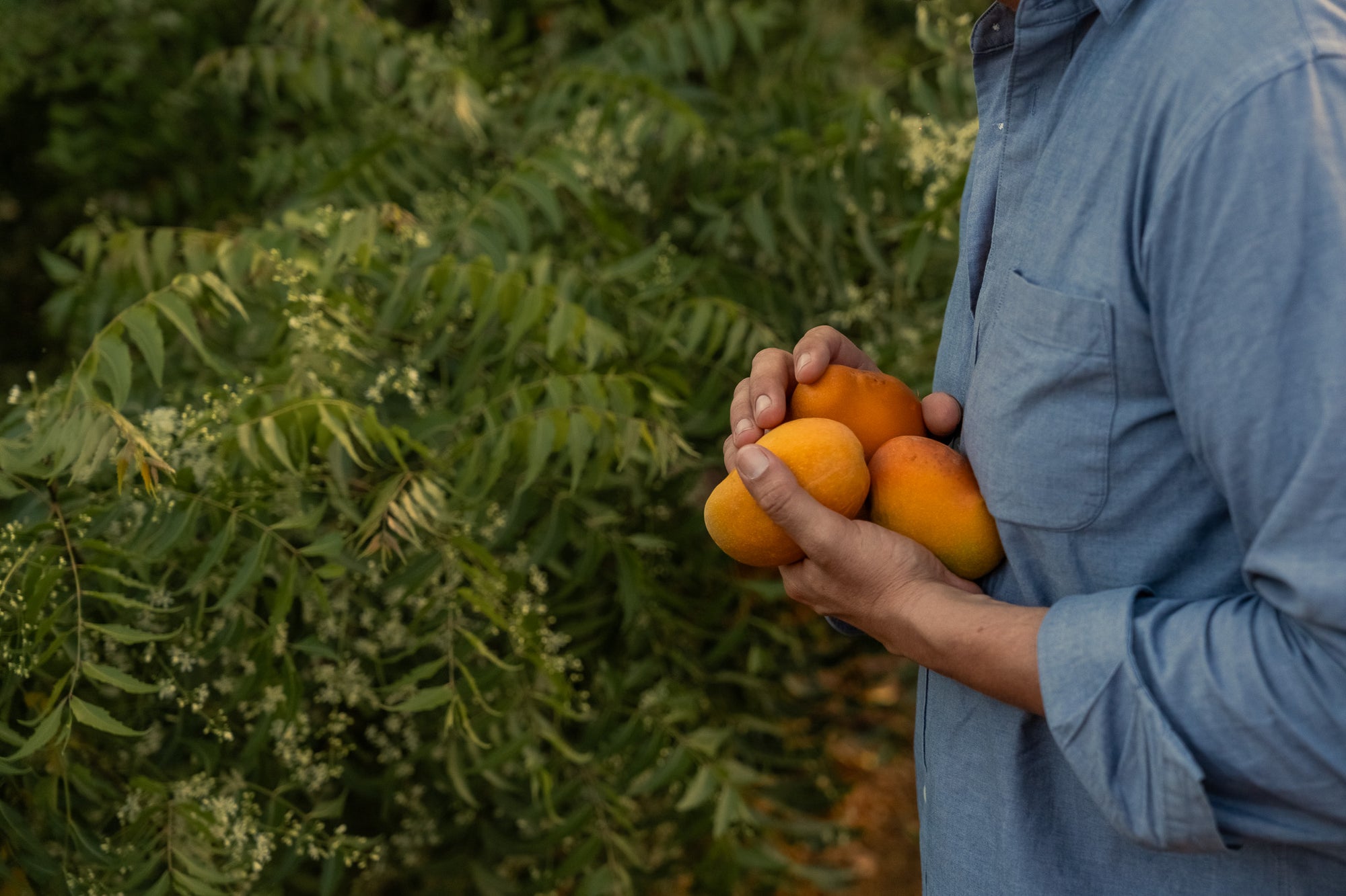 VISITA GUIADA PRIVADA CON PEPE - Pepeoil