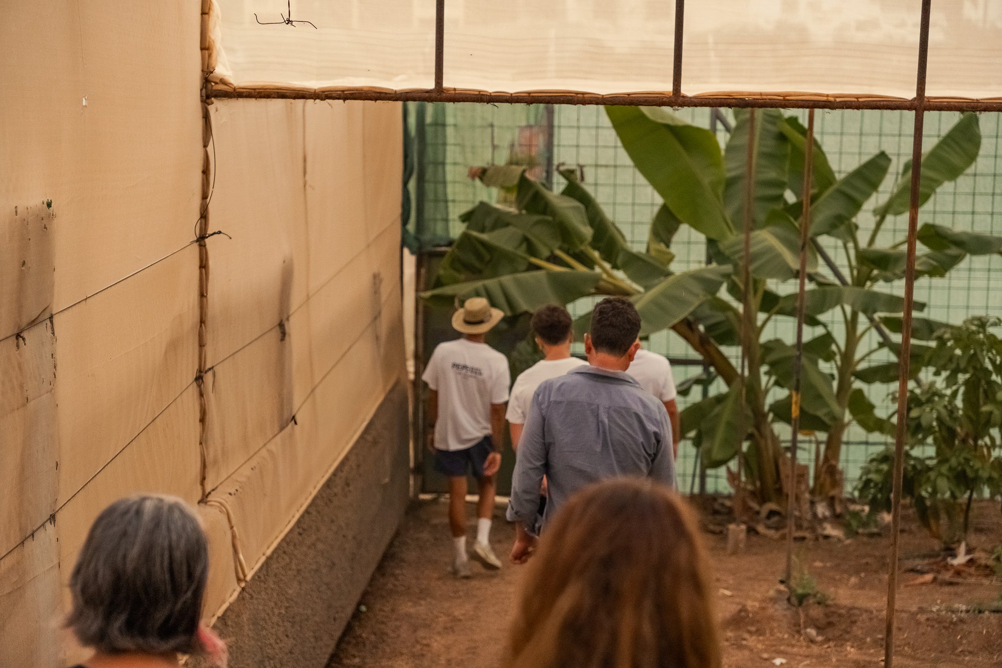 VISITA GUIADA PRIVADA CON PEPE - Pepeoil